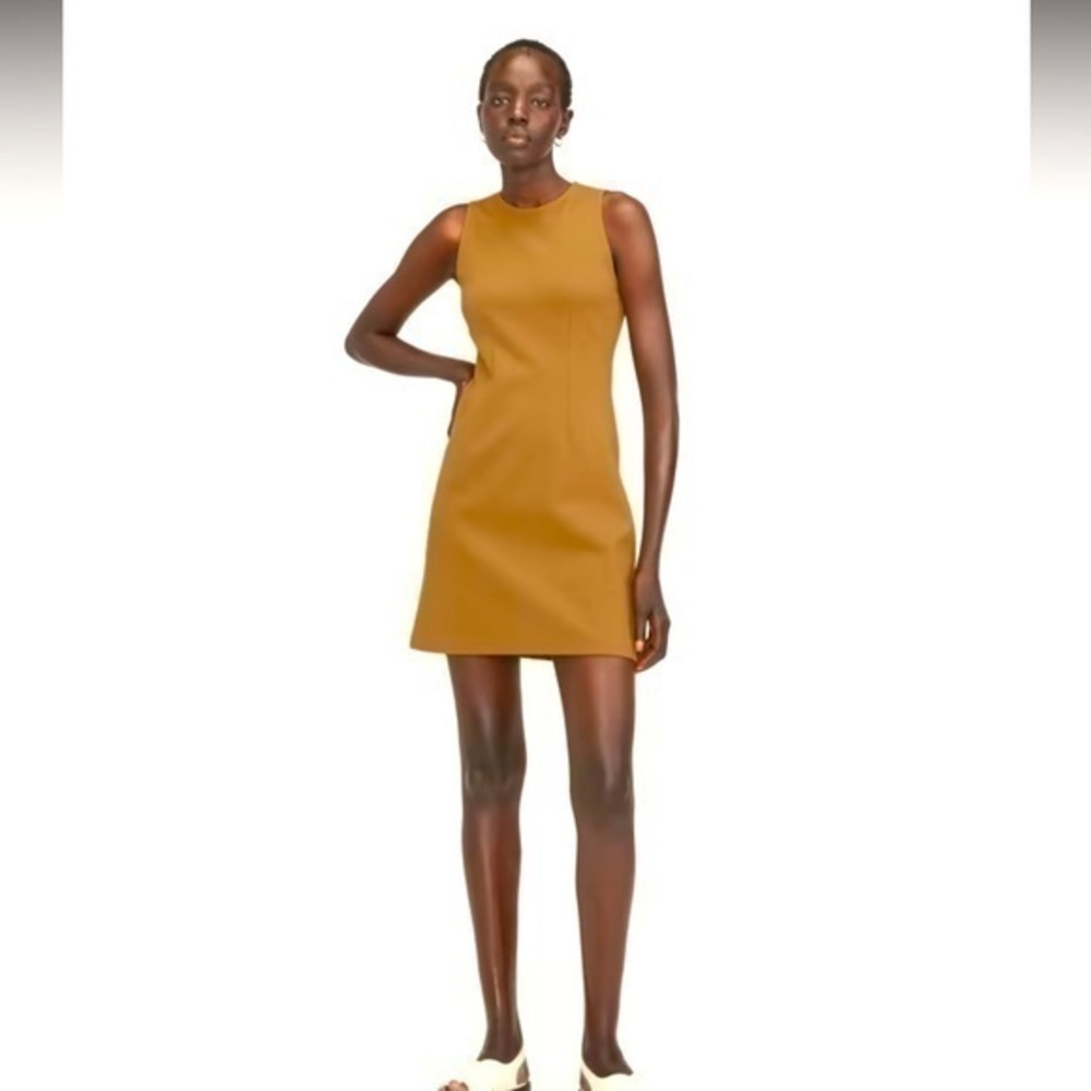 NWT Everlane The Mini Dream Shift Dress XL